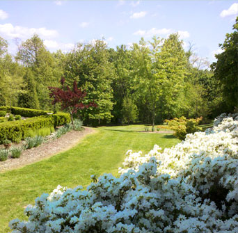 Lawn Care and Landscaping Example Photo